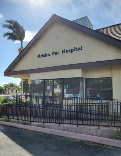Our Facility Adobe Pet Hospital-10