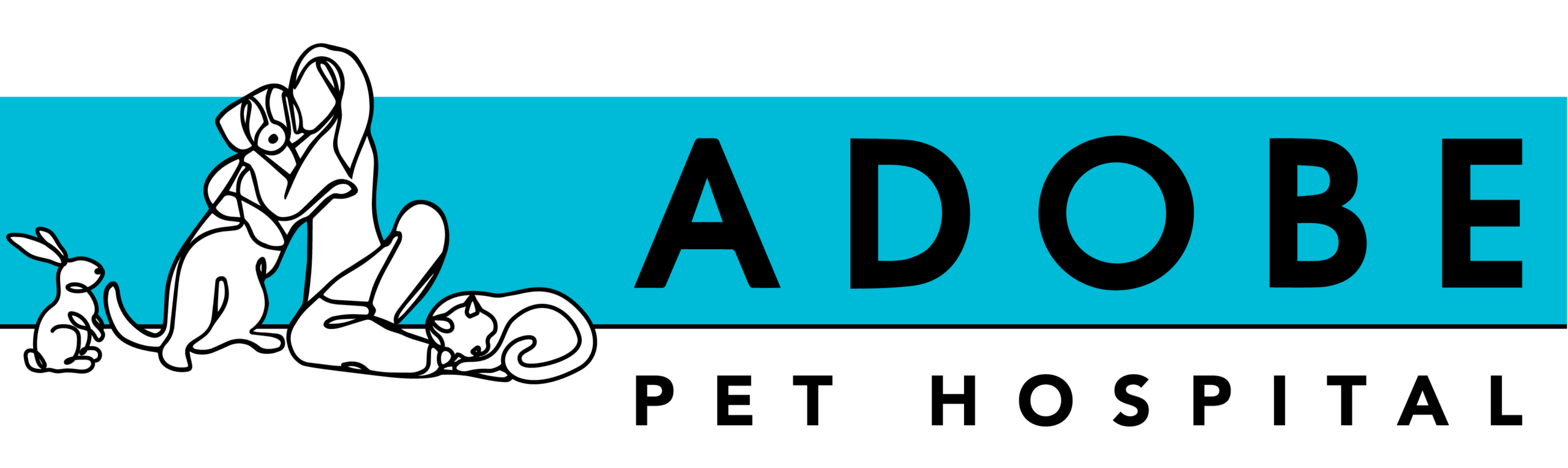 Adobe Pet Hospital